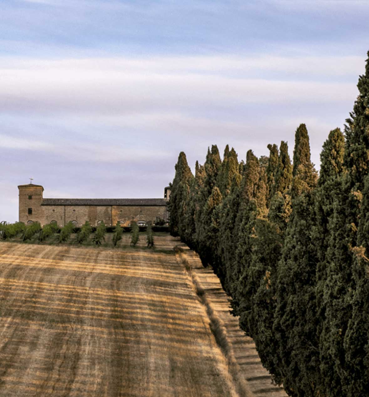 castello di ribano dall'alto